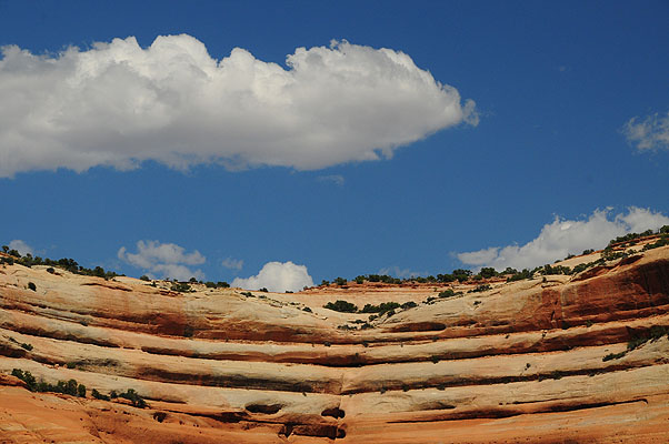 DSC_1667.jpg (4288x2848) NIKON D300 - 18-200mm f/3.5-5.6 // F11 // 1/500 sec // ISO 400 // 70,0 mm // no Flash // 2008:07:09 15:32:19 DSC_1667.jpg (4288x2848) NIKON D300 - 18-200mm f/3.5-5.6 // F11 // 1/500 sec // ISO 400 // 70,0 mm // no Flash // 2008:07:09 15:32:19